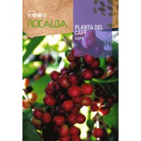 S.CAFE ROCALBA