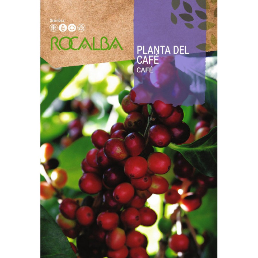 S.CAFE ROCALBA