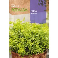 S.ARRUDA ROCALBA S.ARRUDA ROCALBA