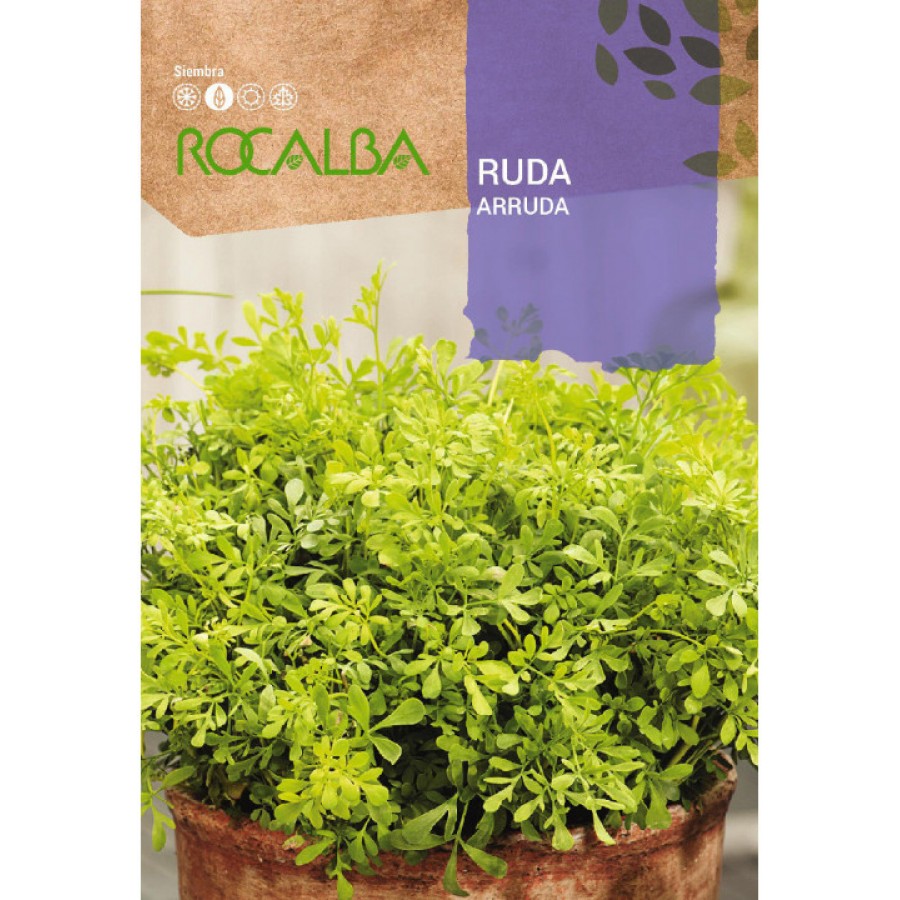 S.ARRUDA ROCALBA S.ARRUDA ROCALBA