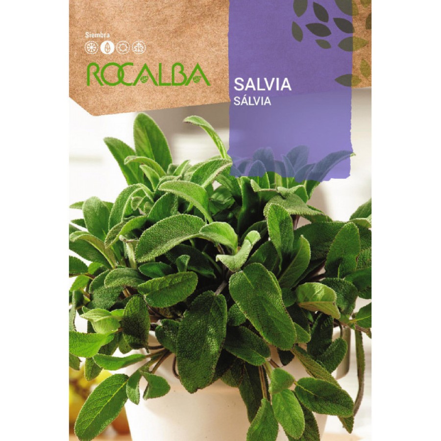 S.SALVIA ROCALBA AROMATICA S.SALVIA ROCALBA AROMATICA