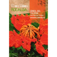 S.ARVORE DA TULIPA ROCALBA