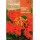 S.ARVORE DA TULIPA ROCALBA