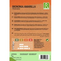 S.BIGNONIA ROCALBA AMARELA S.BIGNONIA ROCALBA AMARELA