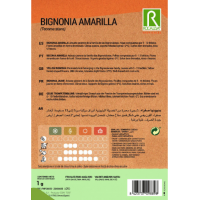 S.BIGNONIA ROCALBA AMARELA S.BIGNONIA ROCALBA AMARELA