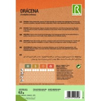 S.DRACAENA ROCALBA S.DRACAENA ROCALBA