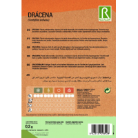 S.DRACAENA ROCALBA S.DRACAENA ROCALBA