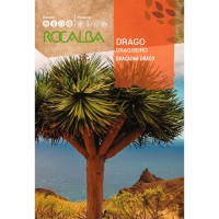 S.DRAGOEIRO ROCALBA S.DRAGOEIRO ROCALBA