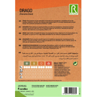 S.DRAGOEIRO ROCALBA S.DRAGOEIRO ROCALBA