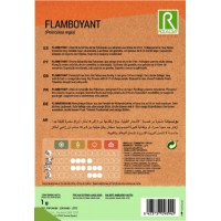 S.FLAMBOYANT ROCALBA S.FLAMBOYANT ROCALBA