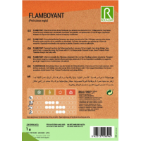 S.FLAMBOYANT ROCALBA S.FLAMBOYANT ROCALBA