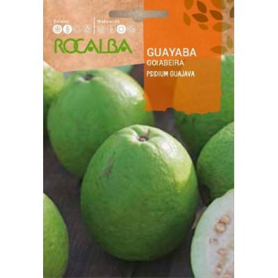 S.GOIABEIRA ROCALBA