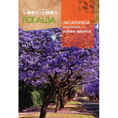 S.JACARANDA ROCALBA