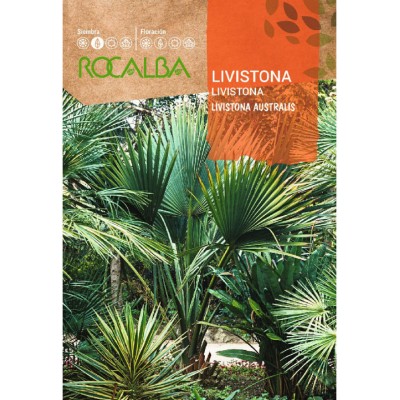 S.LIVISTONIA ROCALBA AUSTRALIA