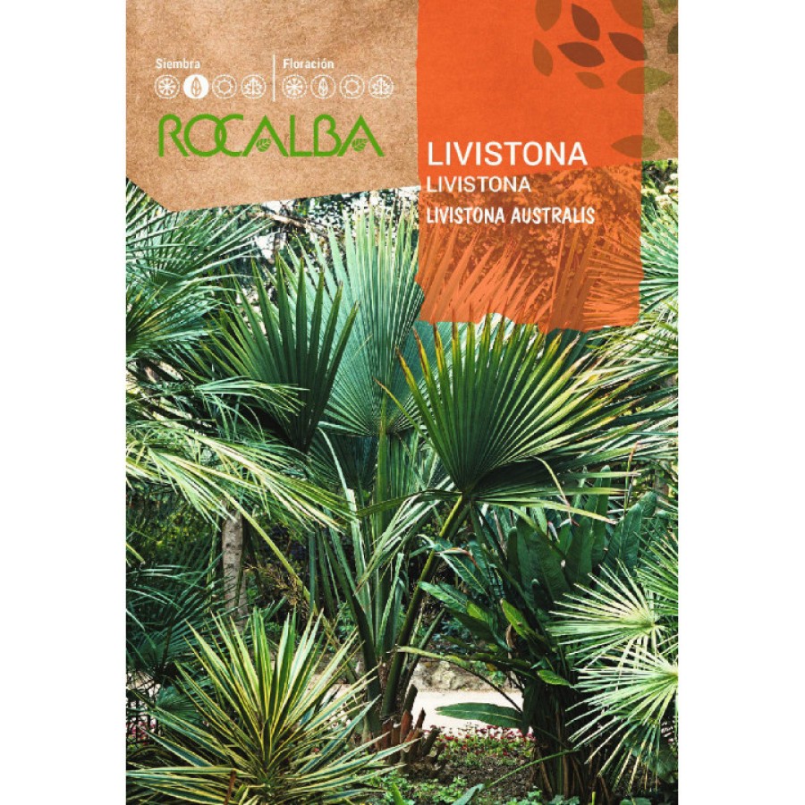 S.LIVISTONIA ROCALBA AUSTRALIA S.LIVISTONIA ROCALBA AUSTRALIA
