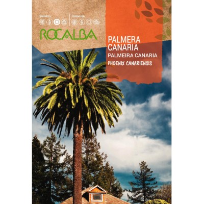 S.PALMEIRA CANARIA ROCALBA