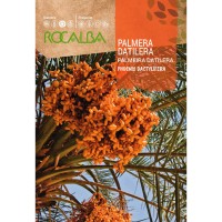 S.PALMEIRA ROCALBA DATILEIRA