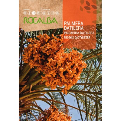 S.PALMEIRA ROCALBA DATILEIRA