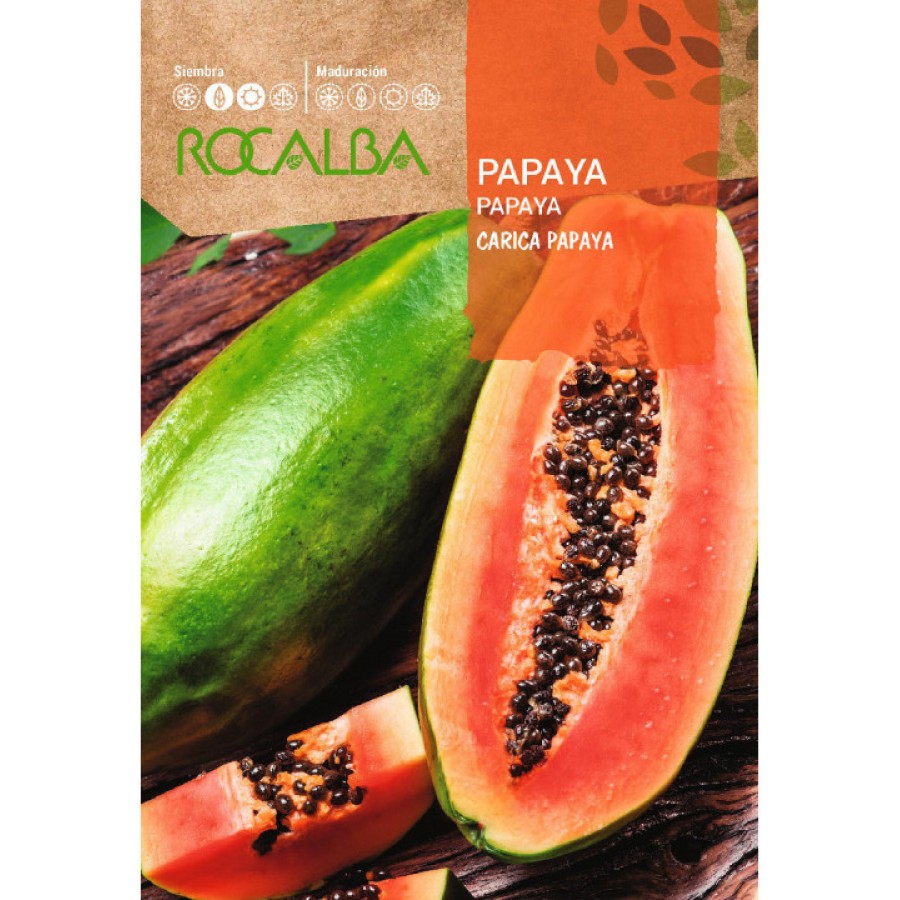 S.PAPAIA ROCALBA S.PAPAIA ROCALBA