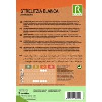 S.STRELITZIA ROCALBA BRANCA S.STRELITZIA ROCALBA BRANCA