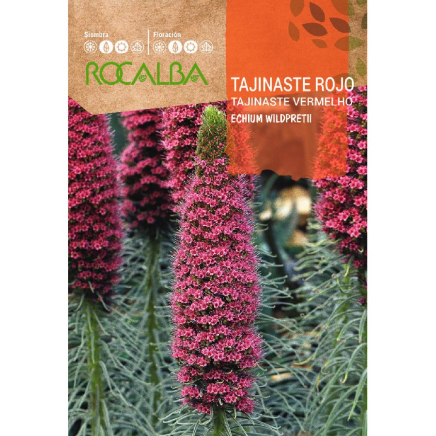 S.TAJINASTE ROCALBA VERMELHO S.TAJINASTE ROCALBA VERMELHO