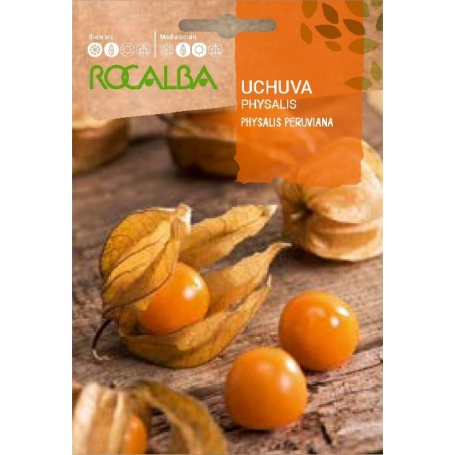 S.PHYSALIS ROCALBA S.PHYSALIS ROCALBA