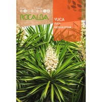 S.JUCA ROCALBA S.JUCA ROCALBA