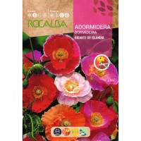 S.DORMIDEIRA ROCALBA ISLANDIA S.DORMIDEIRA ROCALBA ISLANDIA