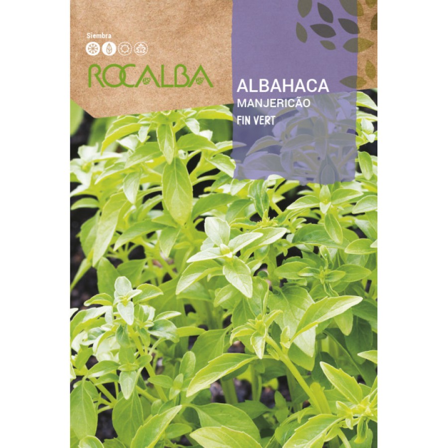 S.ALFAVACA ROCALBA MANJERICO S.ALFAVACA ROCALBA MANJERICO