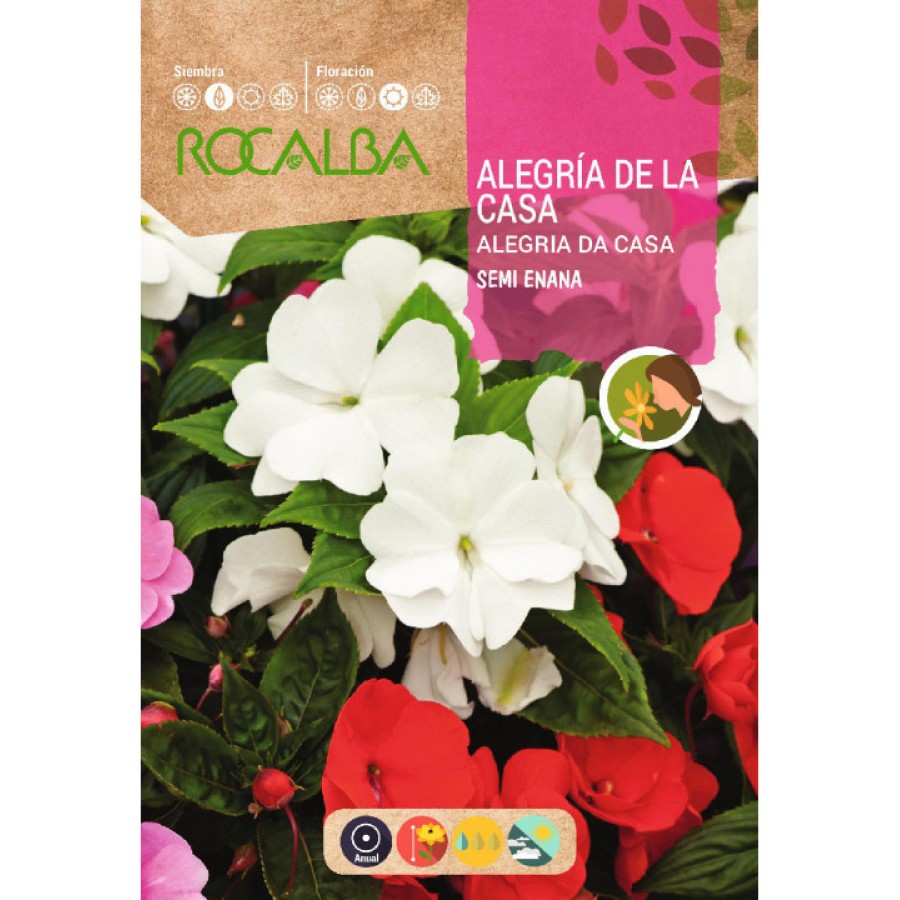 S.ALEGRIA ROCALBA CASA SEMI-AN. S.ALEGRIA ROCALBA CASA SEMI-AN.