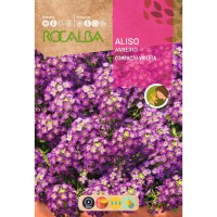 S.AMIEIRO ROCALBA COMPACTO VIOLETA S.AMIEIRO ROCALBA COMPACTO VIOLETA