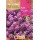 S.AMIEIRO ROCALBA COMPACTO VIOLETA