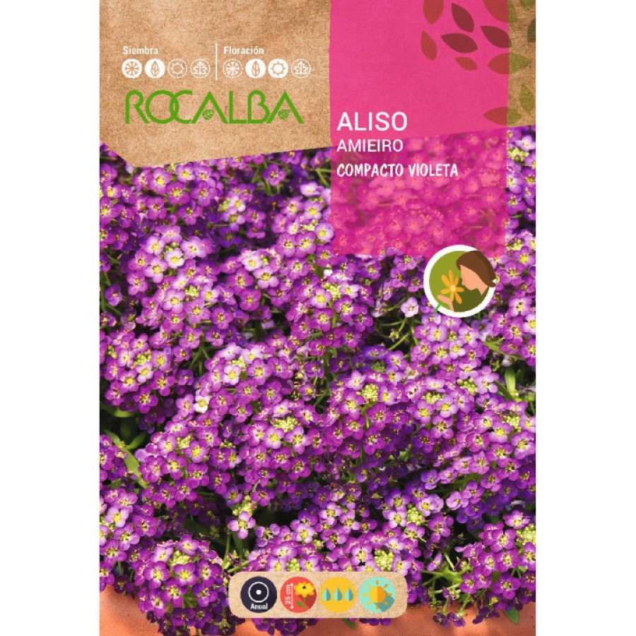 S.AMIEIRO ROCALBA COMPACTO VIOLETA S.AMIEIRO ROCALBA COMPACTO VIOLETA