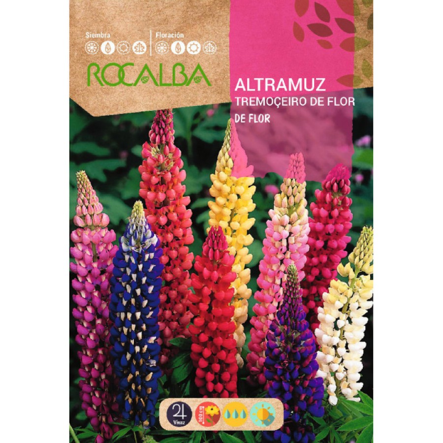 S.TREMOÇO DE FLOR ROCALBA VARIADO