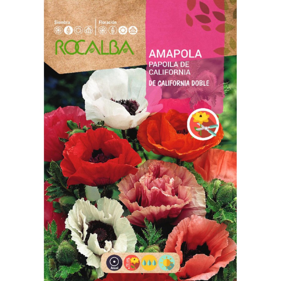 S.PAPOILA ROCALBA CALIFORNIA S.PAPOILA ROCALBA CALIFORNIA
