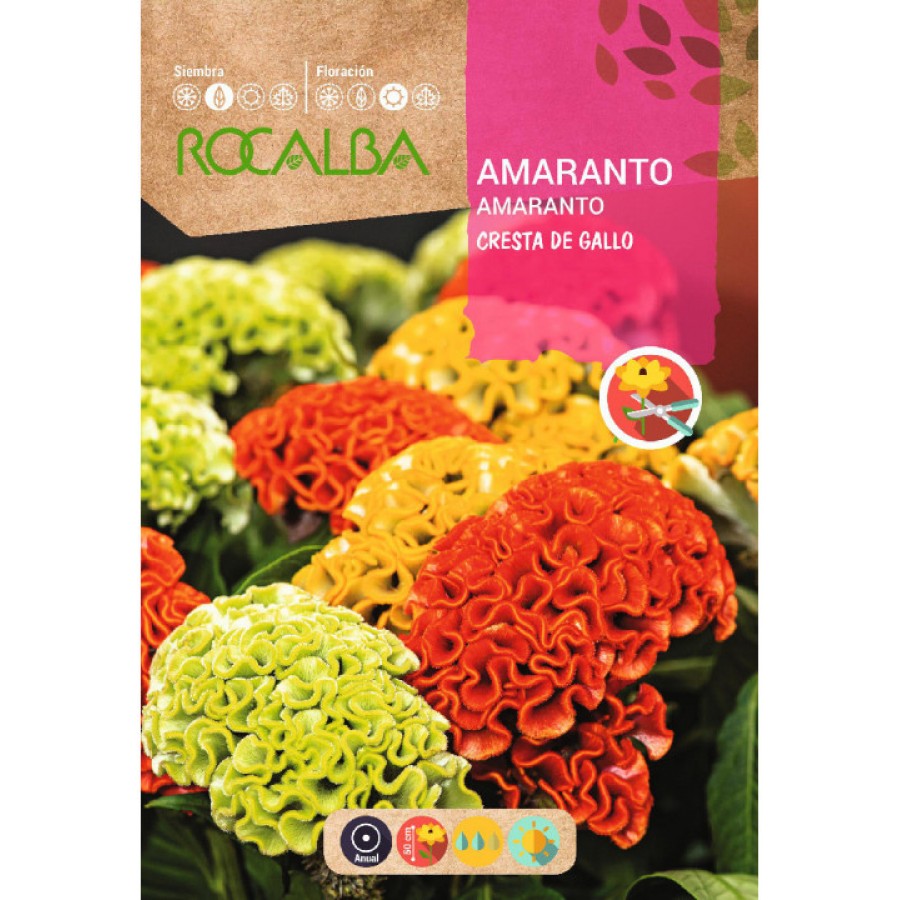 S.AMARANTO ROCALBA CRISTA DE GALO S.AMARANTO ROCALBA CRISTA DE GALO