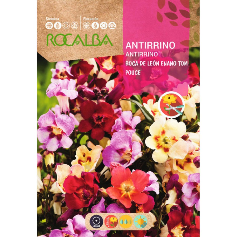 S.ANTIRRINO ROCALBA BOCA LEAO