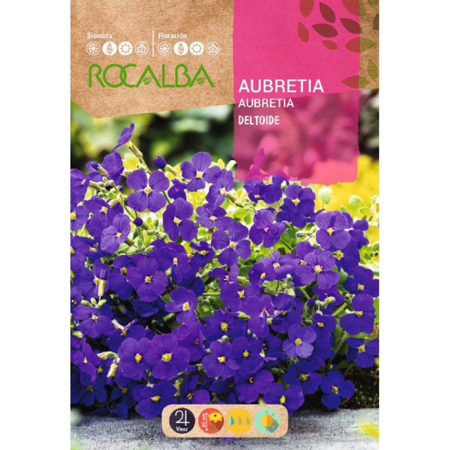 S.AUBRETIA ROCALBA DELTOIDE VIOLETA S.AUBRETIA ROCALBA DELTOIDE VIOLETA