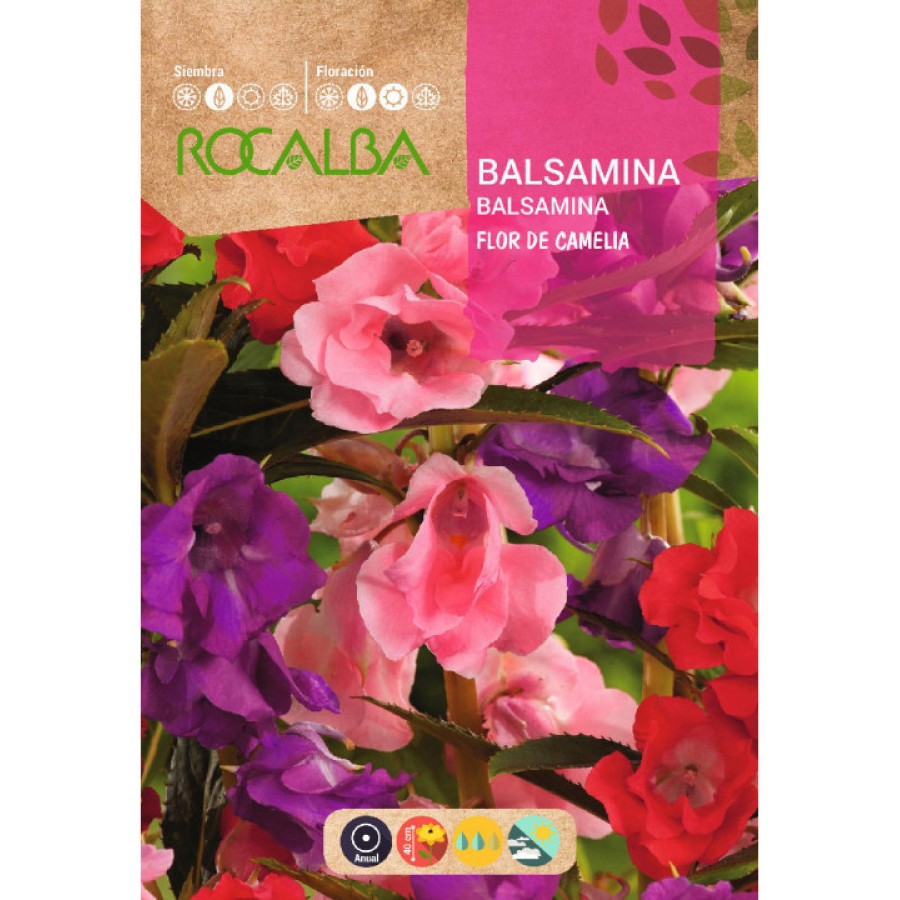 S.BALSAMINA ROCALBA FLOR CAMEL. S.BALSAMINA ROCALBA FLOR CAMEL.