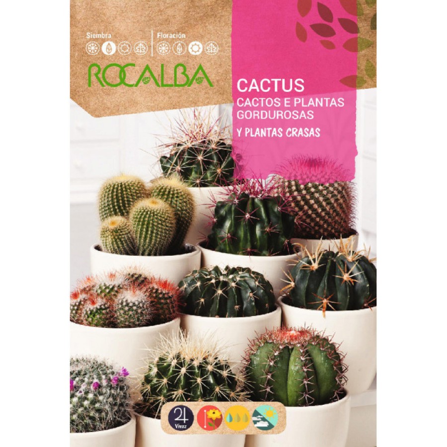 S.CACTOS ROCALBA PLANTAS VARIADAS S.CACTOS ROCALBA PLANTAS VARIADAS