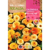 S.CALENDULA ROCALBA ANA FESTA