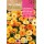 S.CALENDULA ROCALBA ANA FESTA