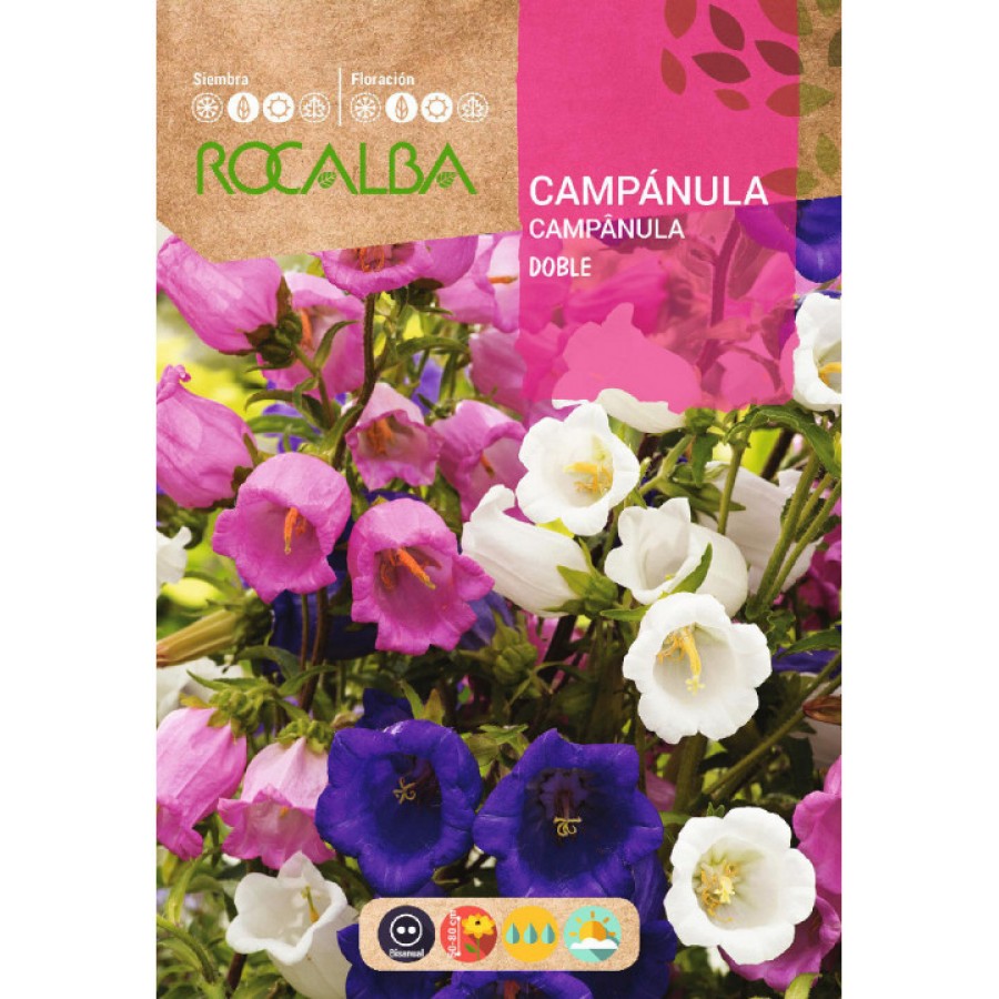 S.CAMPANULA DUPLA VARIADA S.CAMPANULA DUPLA VARIADA