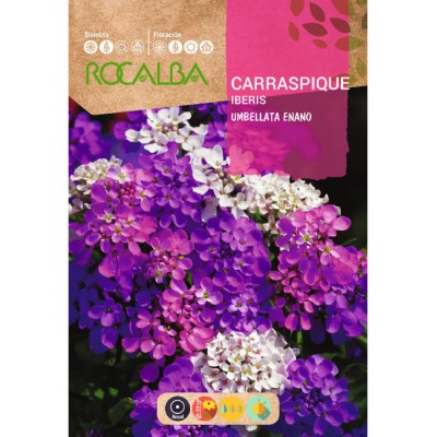 S.IBERIS ROCALBA UMBELLATA ANA