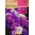 S.IBERIS ROCALBA UMBELLATA ANA