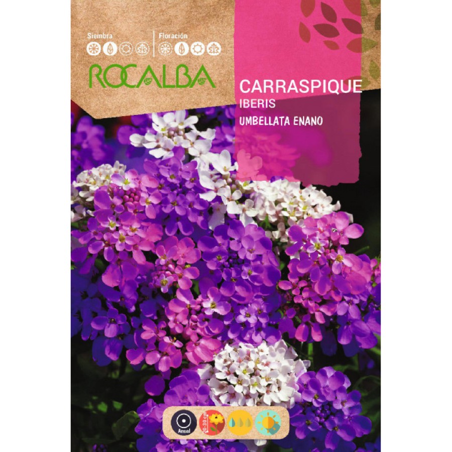 S.IBERIS ROCALBA UMBELLATA ANA S.IBERIS ROCALBA UMBELLATA ANA