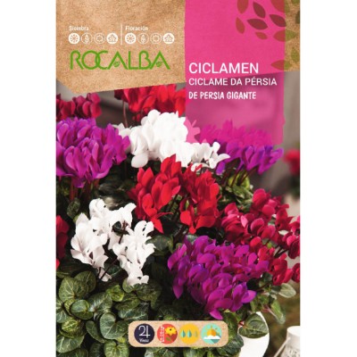 S.CICLAMEN ROCALBA PERSIA MIST.