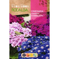 S.CINERARIA ROCALBA HIBRIDA S.CINERARIA ROCALBA HIBRIDA