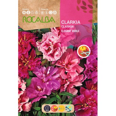 S.CLARKIA ROCALBA ELEGANTE DOBLE