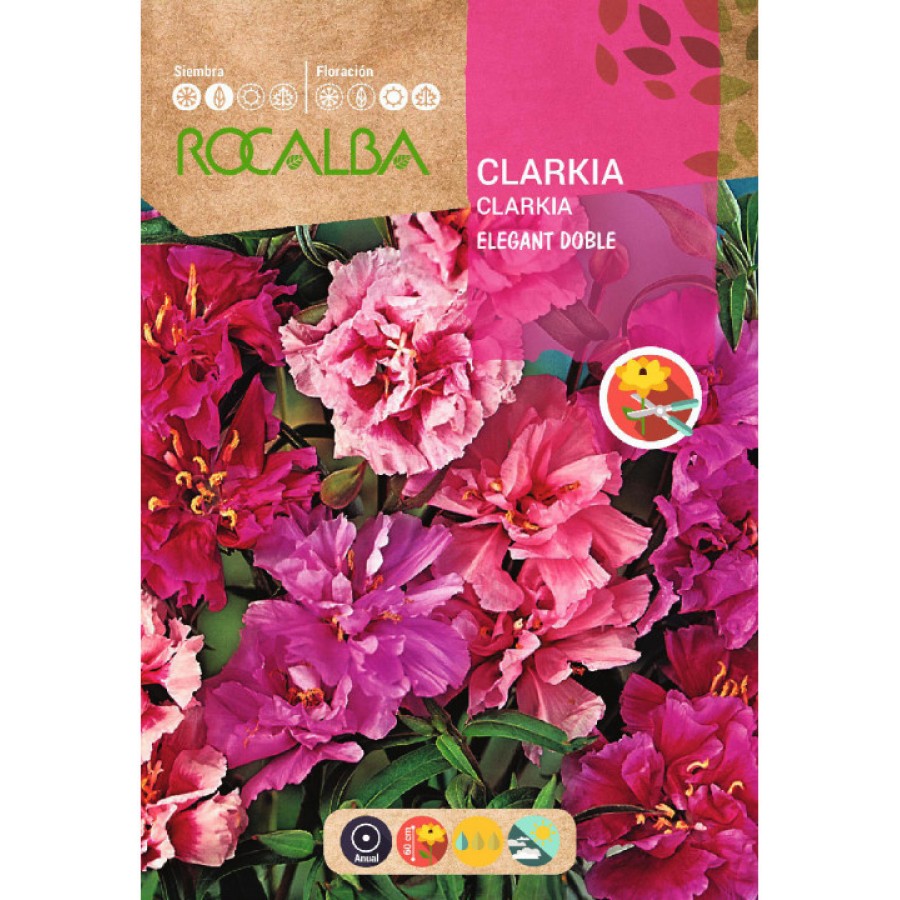 S.CLARKIA ROCALBA ELEGANTE DOBLE S.CLARKIA ROCALBA ELEGANTE DOBLE